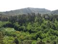 Valley Lake - Mount Gambier